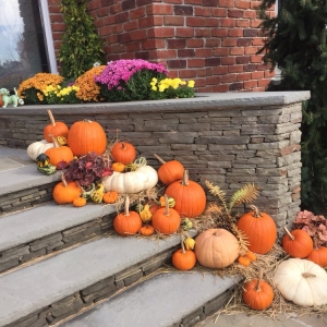 Photo of HAA Landscaping