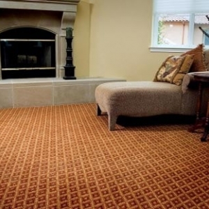 Photo of Carpet Cleaning Houston Texas