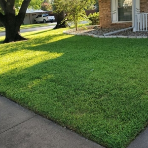 Photo of Green Top Lawn Care