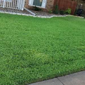Photo of Green Top Lawn Care
