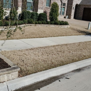 Photo of Green Top Lawn Care