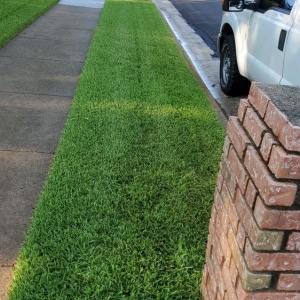Photo of Green Top Lawn Care