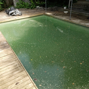 Photo of Pool World