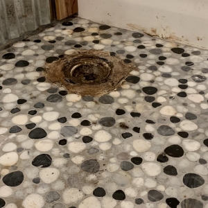 Photo of DAZ Plumbing and Locating