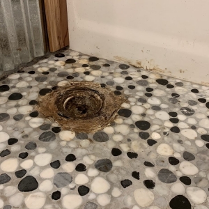 Photo of DAZ Plumbing and Locating