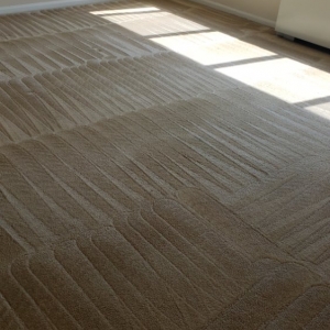Photo of Beto's Carpet Cleaning