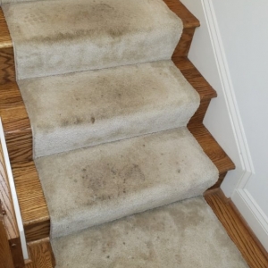 Photo of Beto's Carpet Cleaning