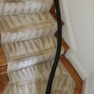 Photo of Beto's Carpet Cleaning