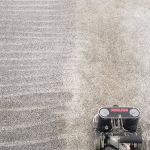 Photo of Beto's Carpet Cleaning