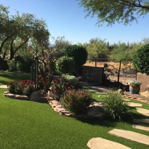 Photo of Testa Landscape Construction