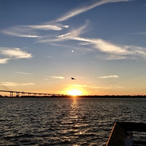 Photo of House Hunting In Charleston