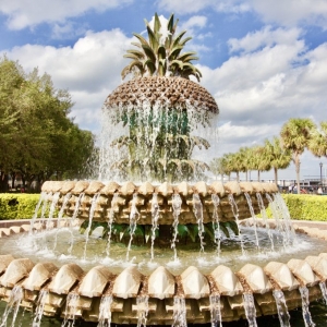 Photo of House Hunting In Charleston