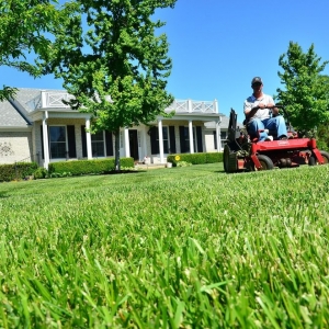 Photo of Neighborly Lawn Care