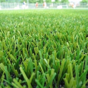 Photo of Midwest Turf