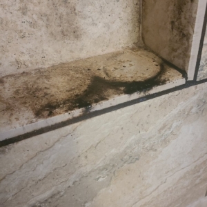Photo of Amy's Deep Cleaning & More