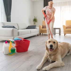 Photo of Amy's Deep Cleaning & More