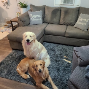 Photo of Amy's Deep Cleaning & More
