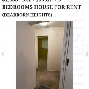 Photo of Lovely's cleaning services