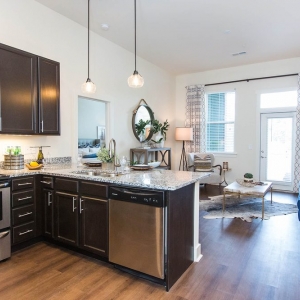 Photo of The Luxe at Indian Lake Village by RAM Management