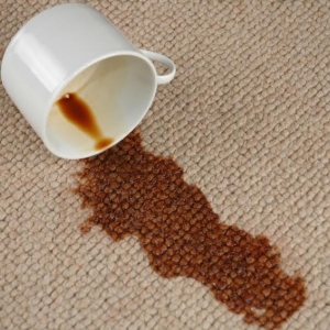Photo of Good Guys Professional Carpet Cleaning