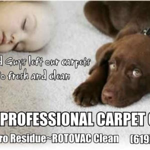 Photo of Good Guys Professional Carpet Cleaning