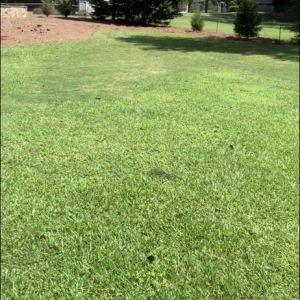 Photo of Adams Property Management