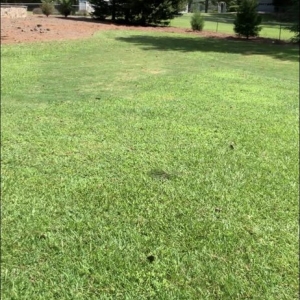 Photo of Adams Property Management