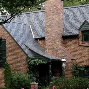 Photo of Rayne-Storm Consulting