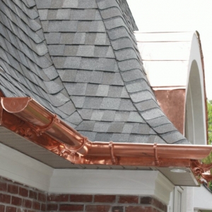 Photo of Rayne-Storm Consulting