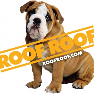 Photo of Roof Roof Nashville