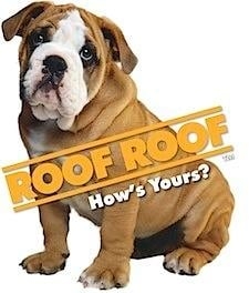 Photo of Roof Roof Nashville