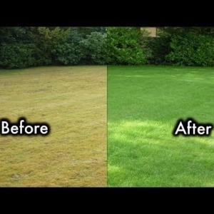 Photo of Artificial Grass Turf
