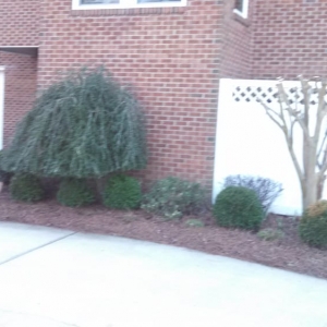 Photo of Southside Irrigation & Lawn