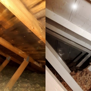 Photo of Environmental & Restoration Services