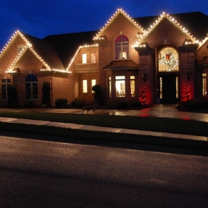 Photo of Professional Landscape Service