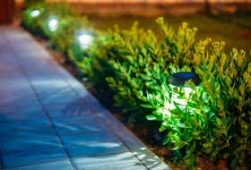 Photo of Professional Landscape Service