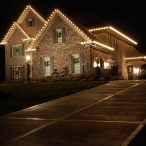 Photo of Professional Landscape Service
