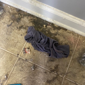 Photo of Bottom Line Property Management
