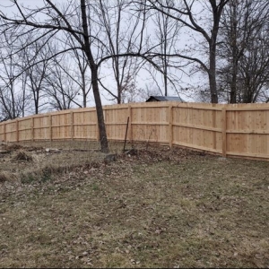 Photo of Freedom Fence and Landscape