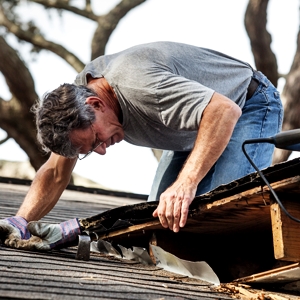 Photo of Arielle Contracting Services