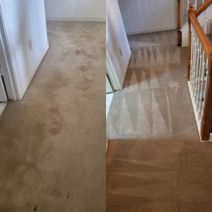 Photo of Superior Carpet Cleaning And Flooring