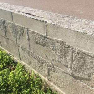 Photo of PandaWhite Builders