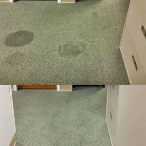 Photo of CitruSolution of Middle Tennessee