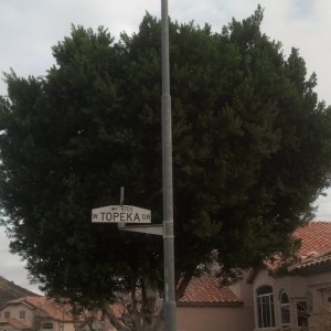 Photo of Pablo's Landscape & Tree Service, LLC