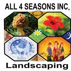 Photo of All 4 Seasons