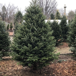 Photo of Exley's Landscape Service