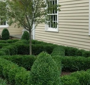 Photo of Vera Marie Landscapes