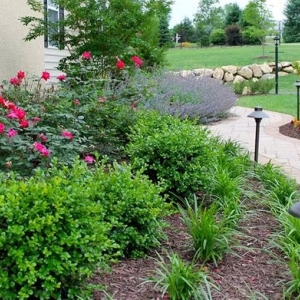 Photo of Vera Marie Landscapes