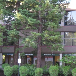 Photo of Lombard Consulting Services
