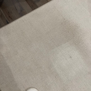 Photo of All Green Carpet Cleaning